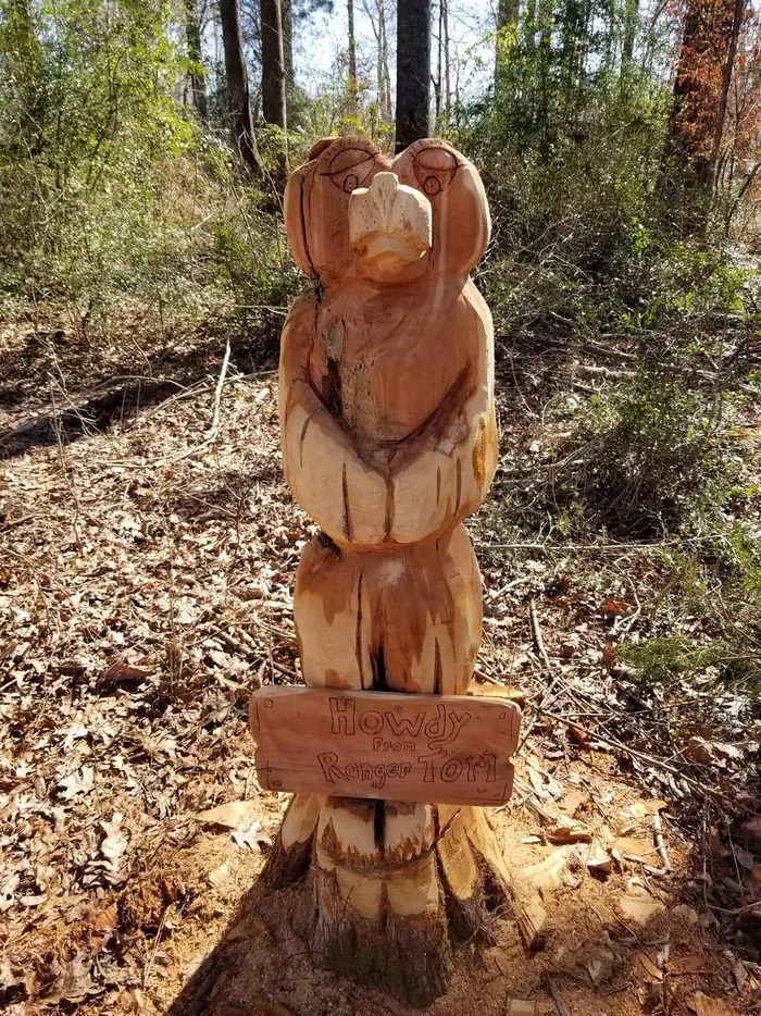 Bear Wood Carving