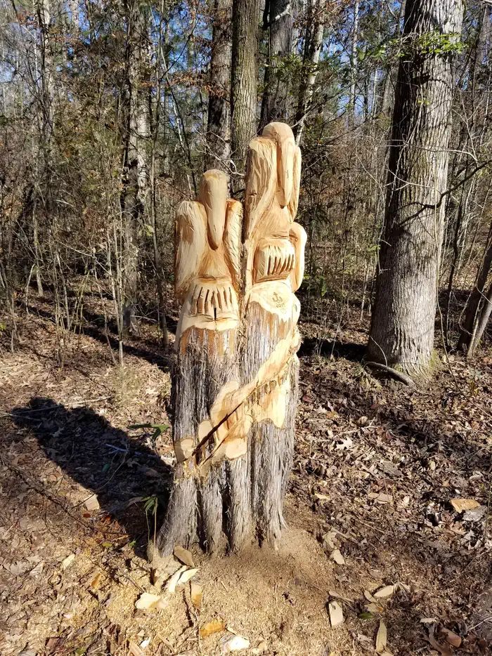 Pelican Wood Carving