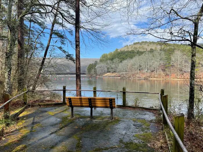 ADA Trail Bench