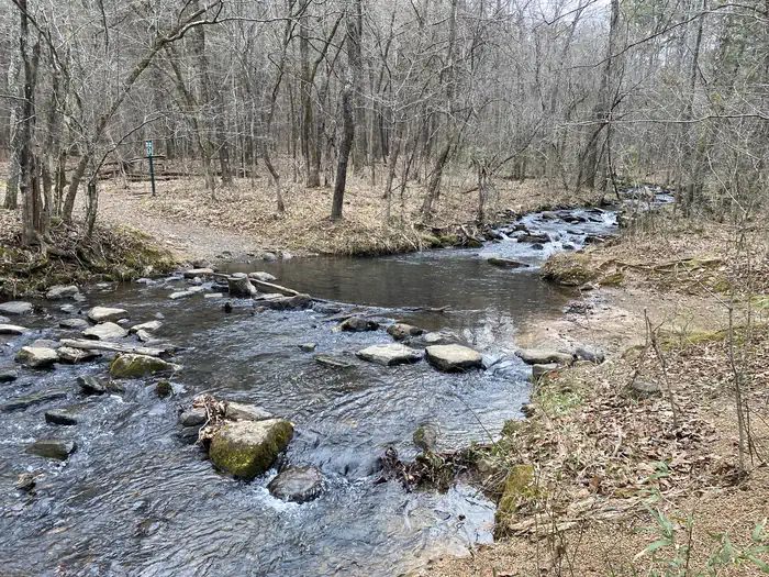 Collins Creek