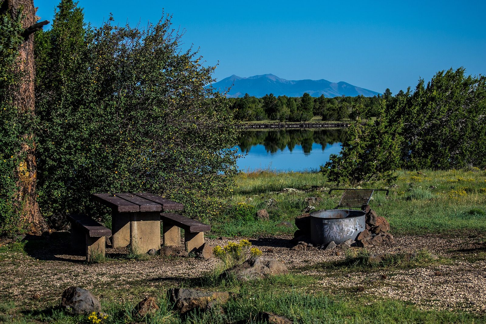 A lakeside campsite with a picnic table and fire ring at Ashurst Lake, the San Francisco Peaks in the distance