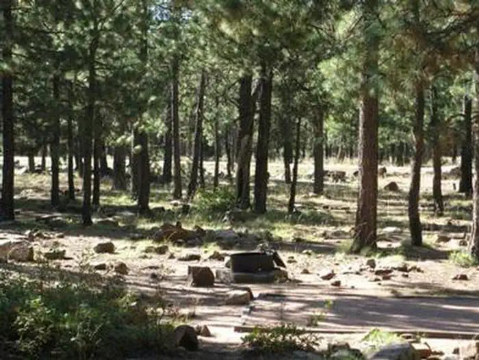 Crook Campground overview