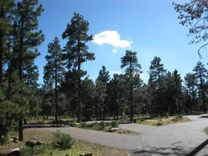 Crook Group Site offers paved loops and spurs