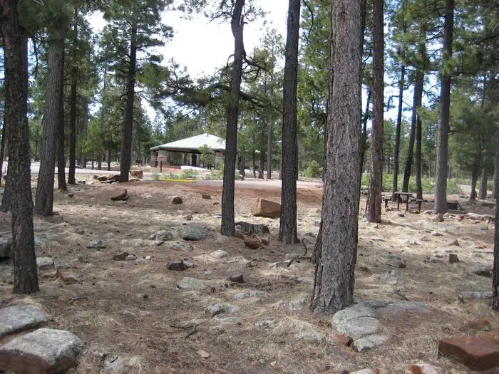 Crook Campground offers two group loops with Ramadas. Each loop can be reserved separately for groups up to 125 or both loops together for larger groups
