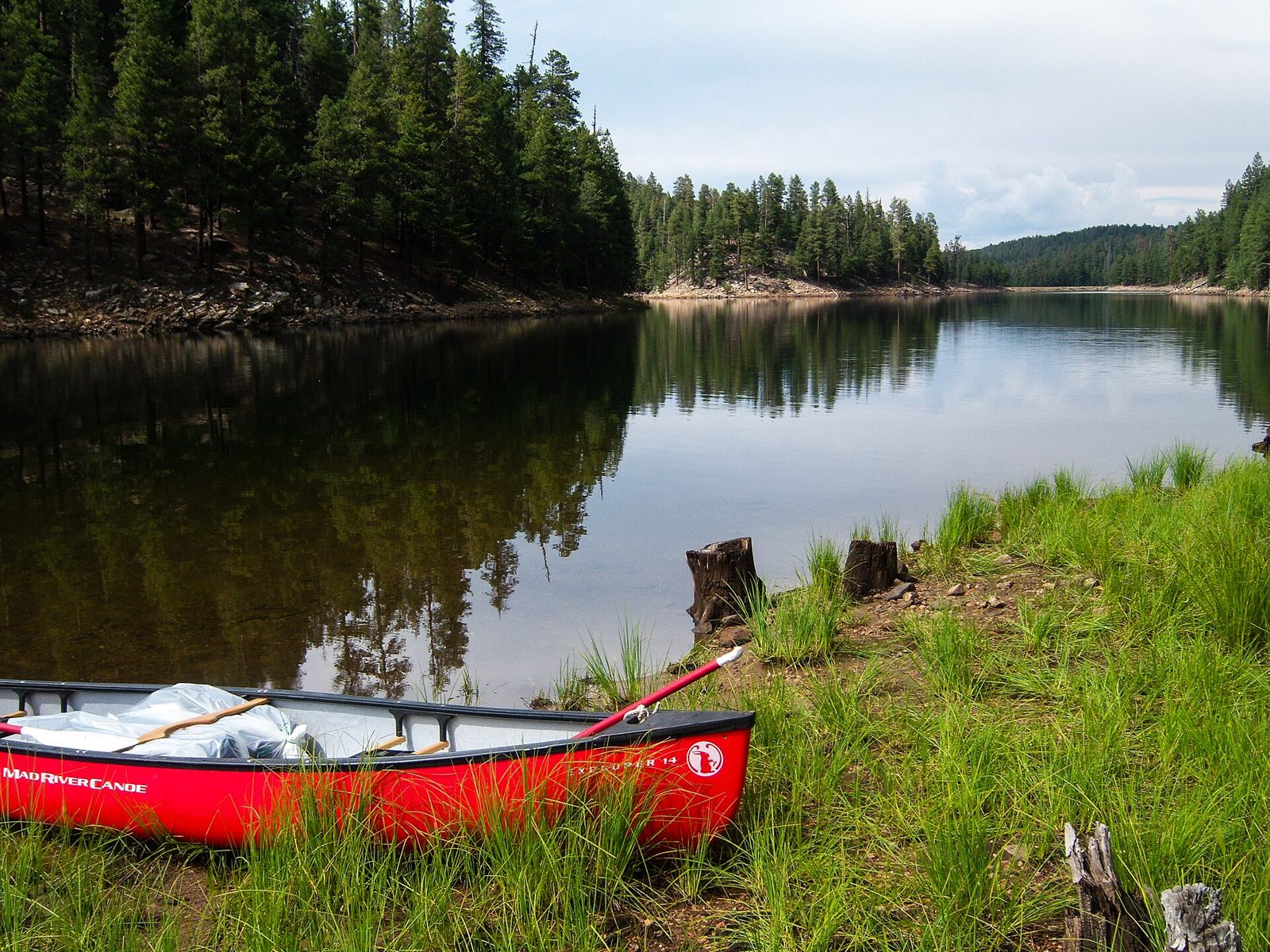 Knoll Lake, a secluded forest lake ringed by ponderosa pines with an island in the center, on the Coconino National Forest