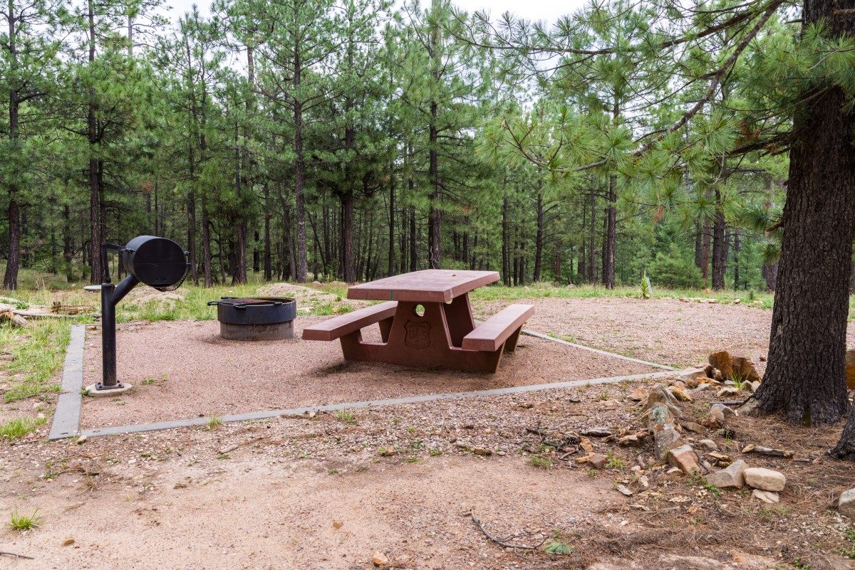 A picnic table next to a grill and fire pit at a Knoll Lake Campground site