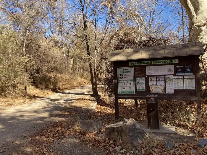 Peppersauce Campground in the northern Santa Catalina Mountains