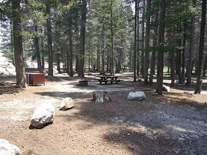 Big Meadow Site view