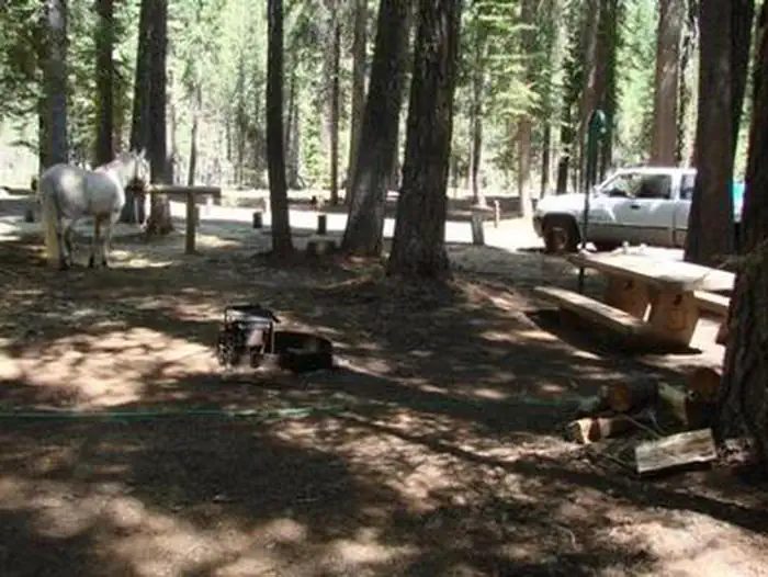 Typical site at Horse Camp