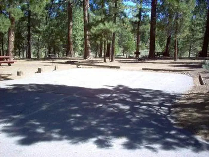 Logger Campground