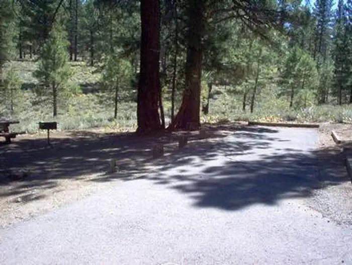 Logger Campground