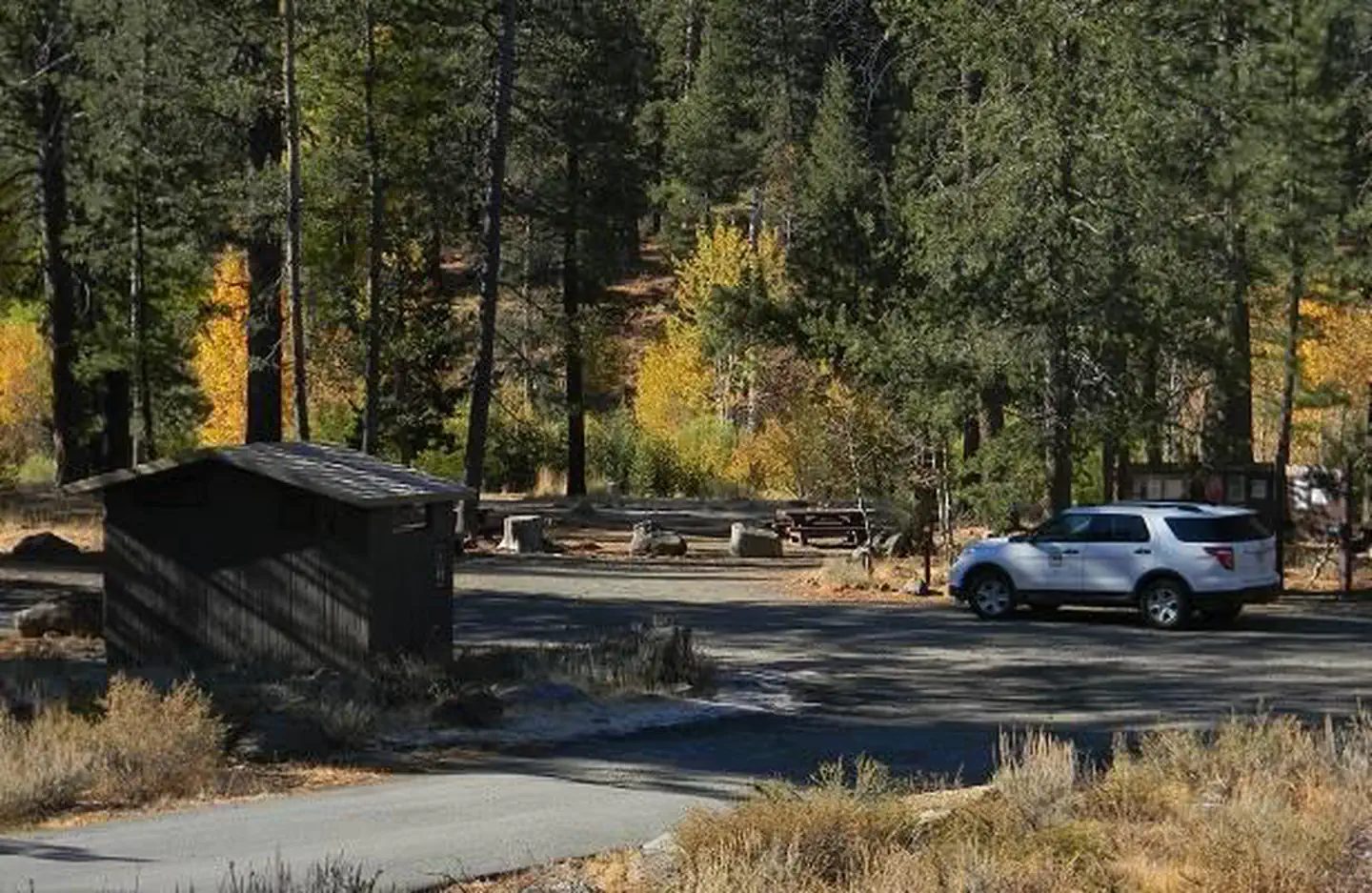 Road leading into Lower Little Truckee Campground