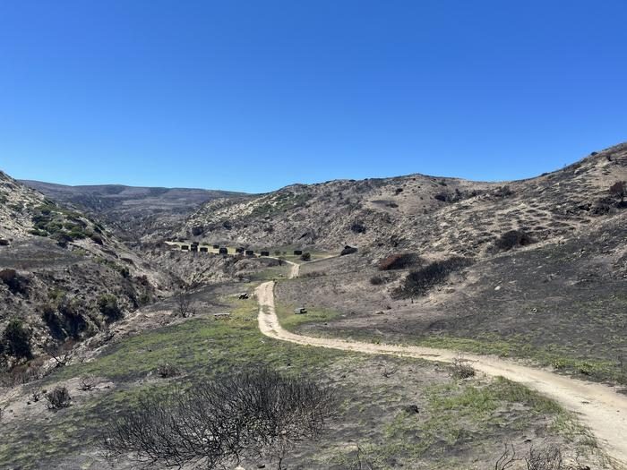 Campground, Santa Rosa Island