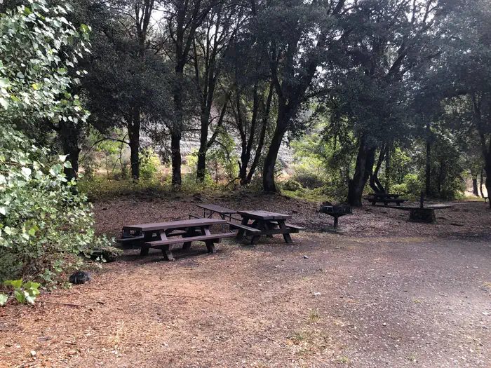 Picnic Tables