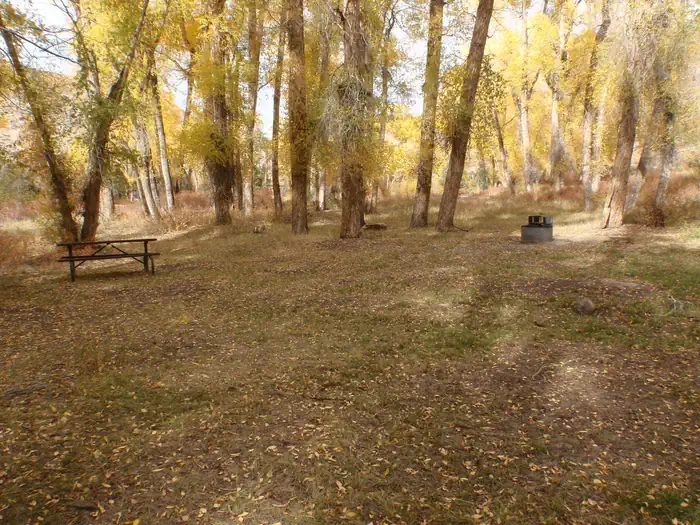 Tent site 1 with fire pit