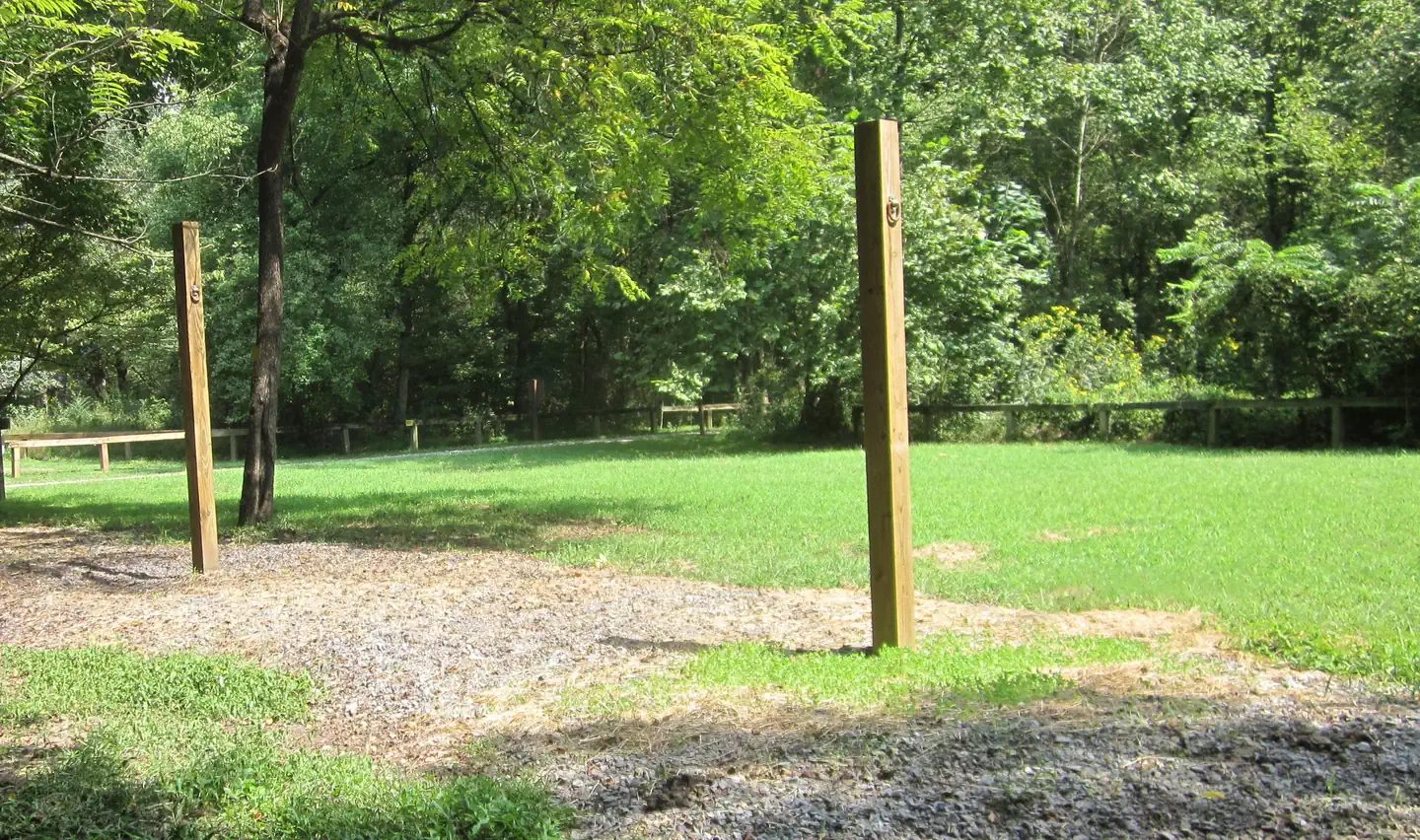 Horse highlines, scattered around perimeter of campground