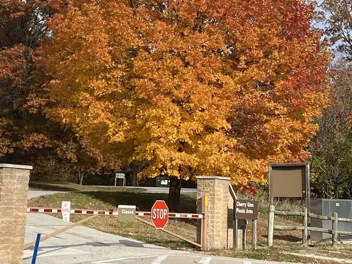 Cherry Glen Picnic Area - Just a walk away!
