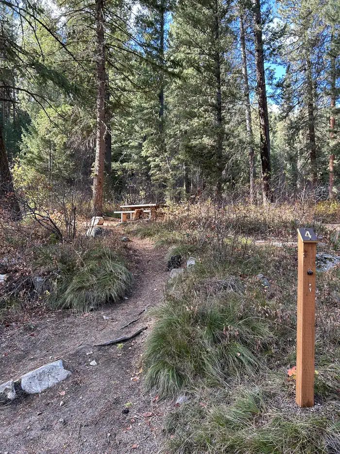 Site 4