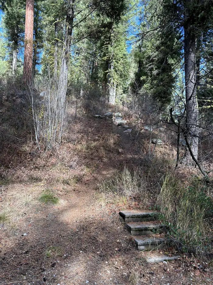Trail in campground
