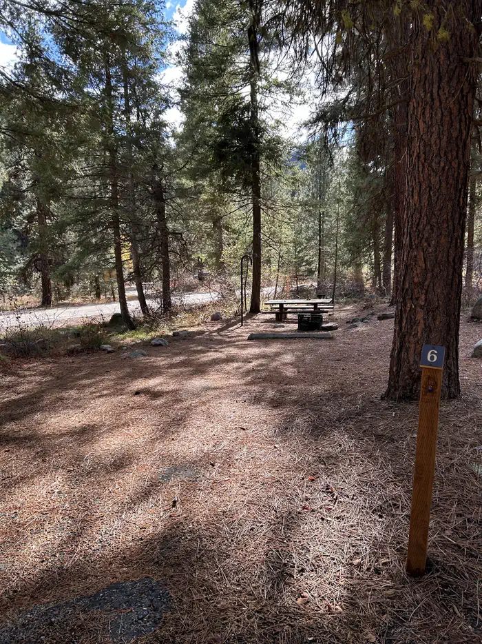 Site 6