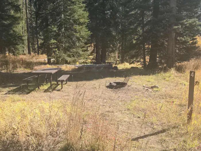 Big Creek Campground - Campsite 3