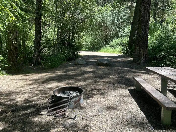 Brownlee Site #11