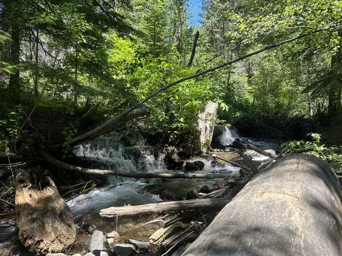 Brownlee Creek flows near the campground
