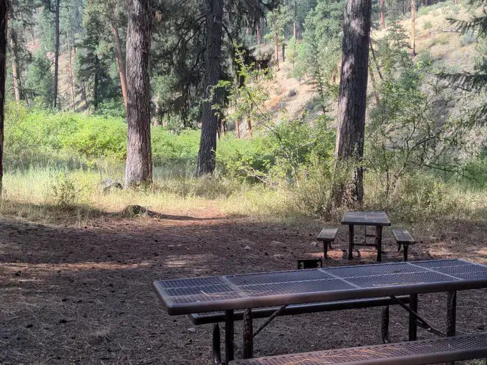 Double walk-in campsite at River Loop adjacent to the South Fork of the Salmon River
