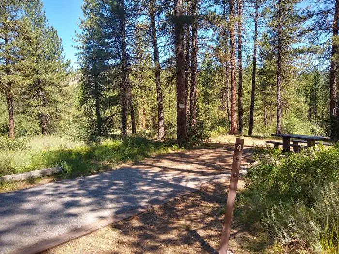 Site 4 at Grayback Gulch