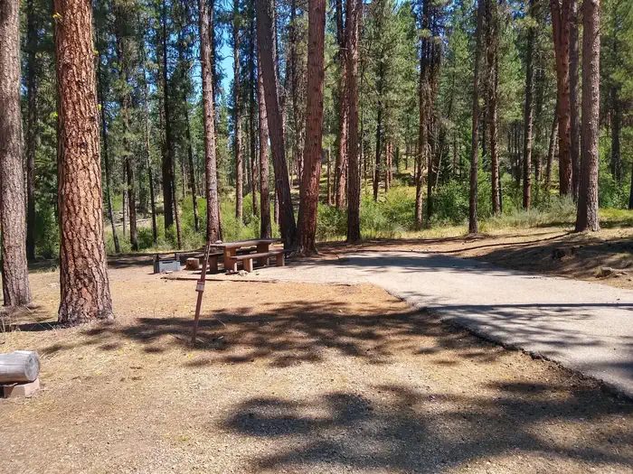 Grayback Gulch Site 12