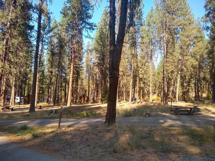 Site 16 at Grayback