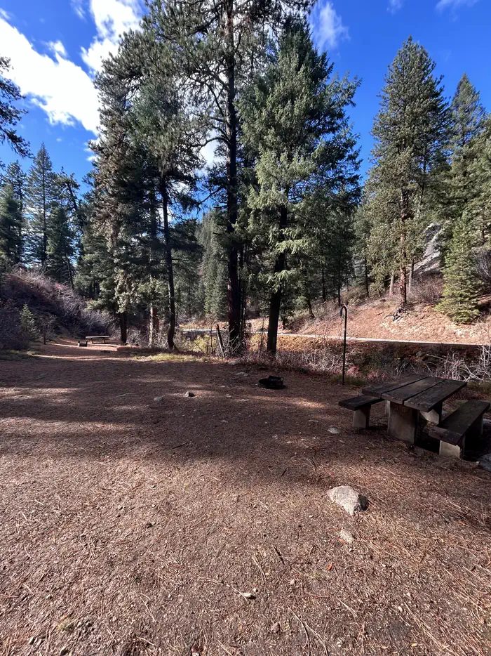 Hayfork Site 1: A walk-in, tent only campsite