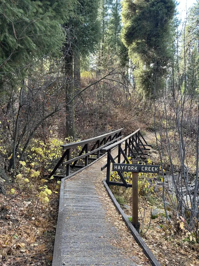 Bridge over Hayfork Creek that leads to Sites 1 and 2