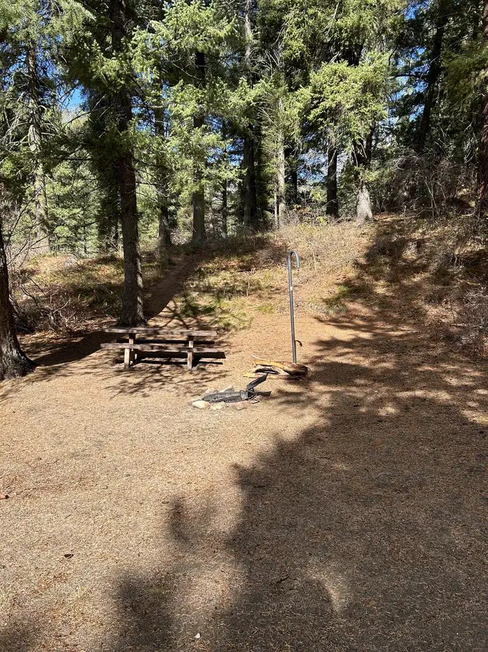 Hayfork Site 5