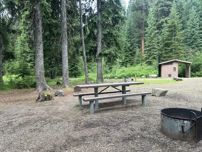 Huckleberry campsite #4