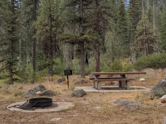 Ponderosa Campsite