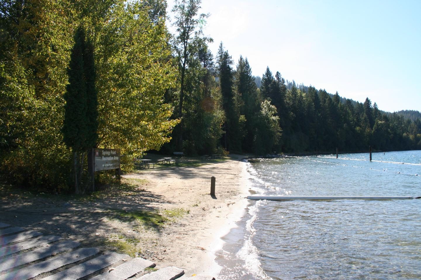 Springy Point