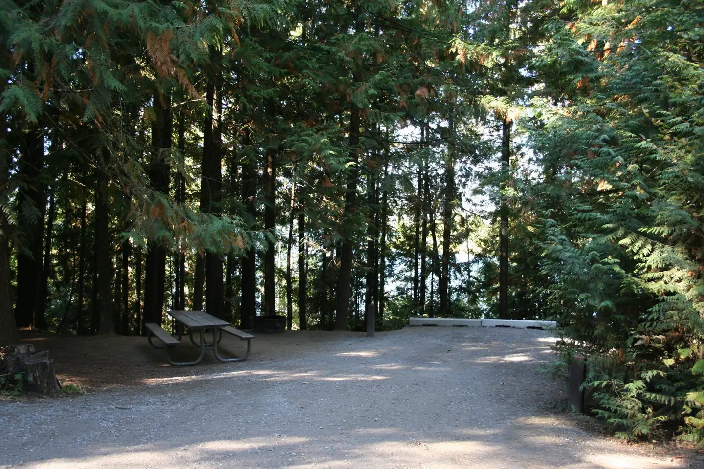 Typical campsite at Springy Point