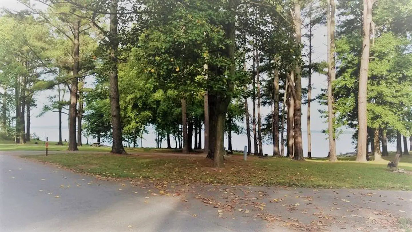 Eagle Loop Campsites within Gun Creek Campground