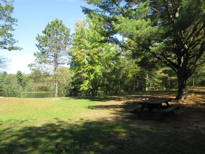 Campsite 4 located at Swan Lake on the Hiawatha National Forest