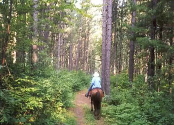 Cut Foot Horse Campground