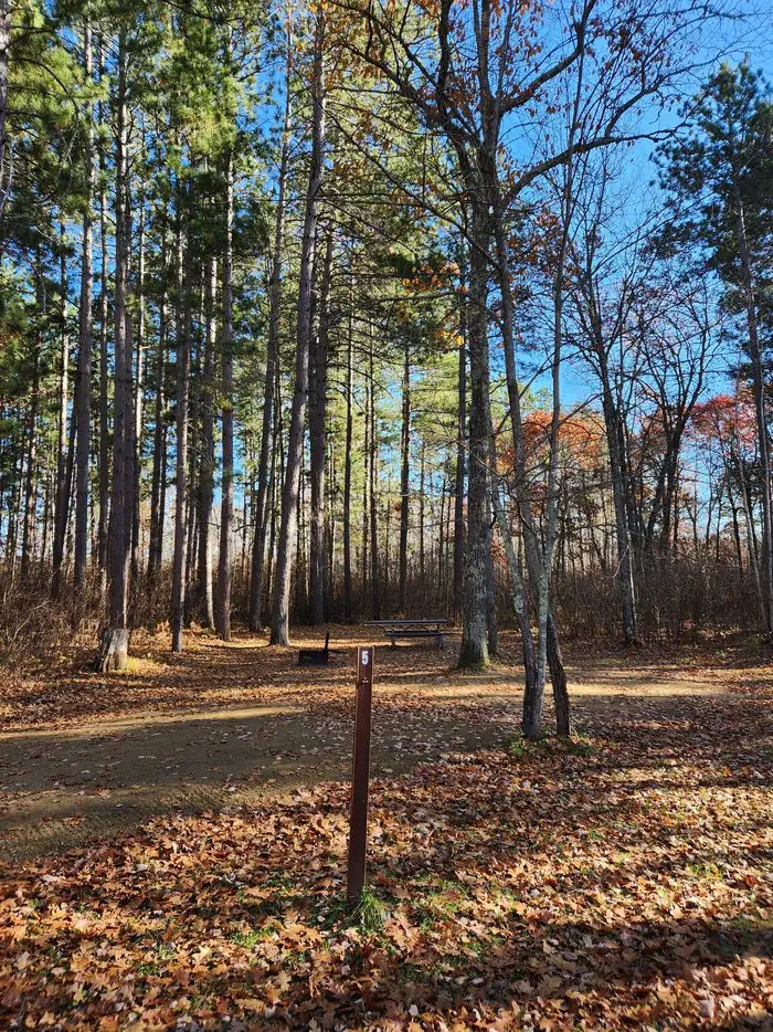 A campsite in Mabel Lake Campground
