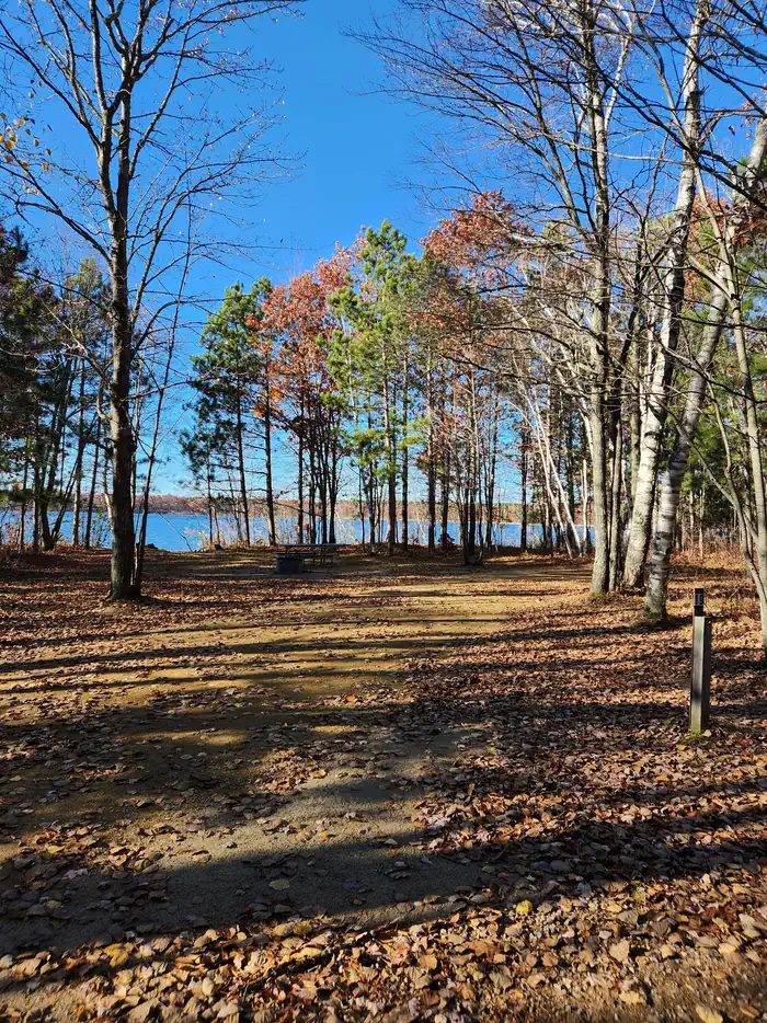 A campsite at Mabel Lake Campground