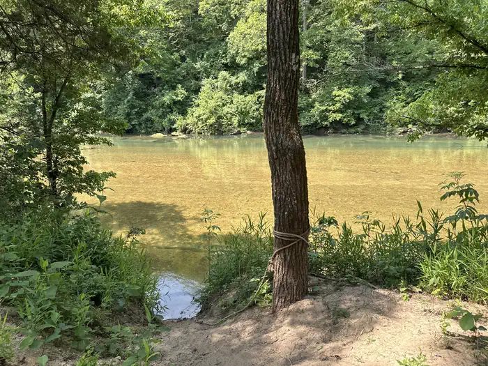 A group campsite next to the river