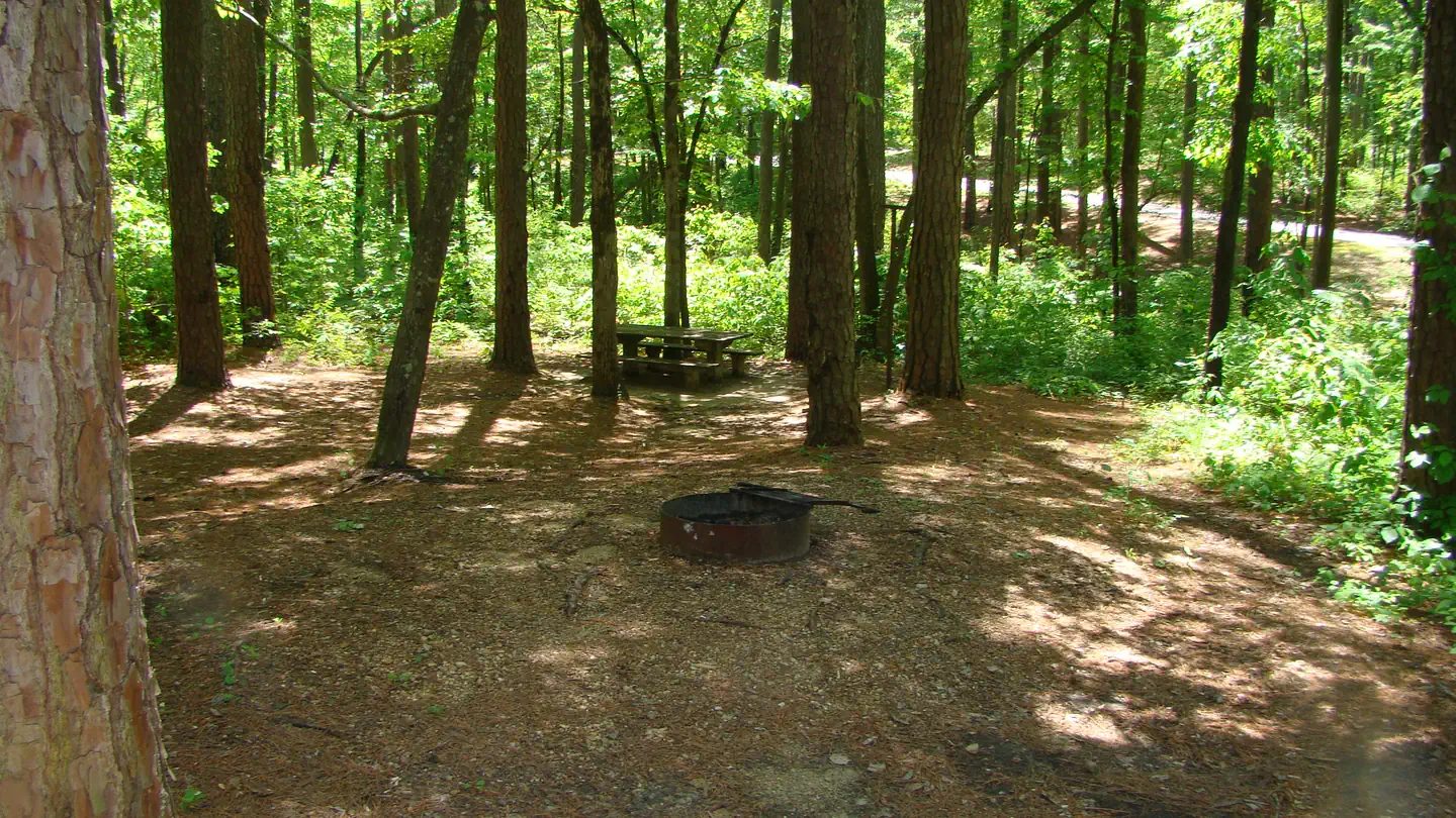 One of the campsites at Jeff Busby featuring a fire ring and picnic table
