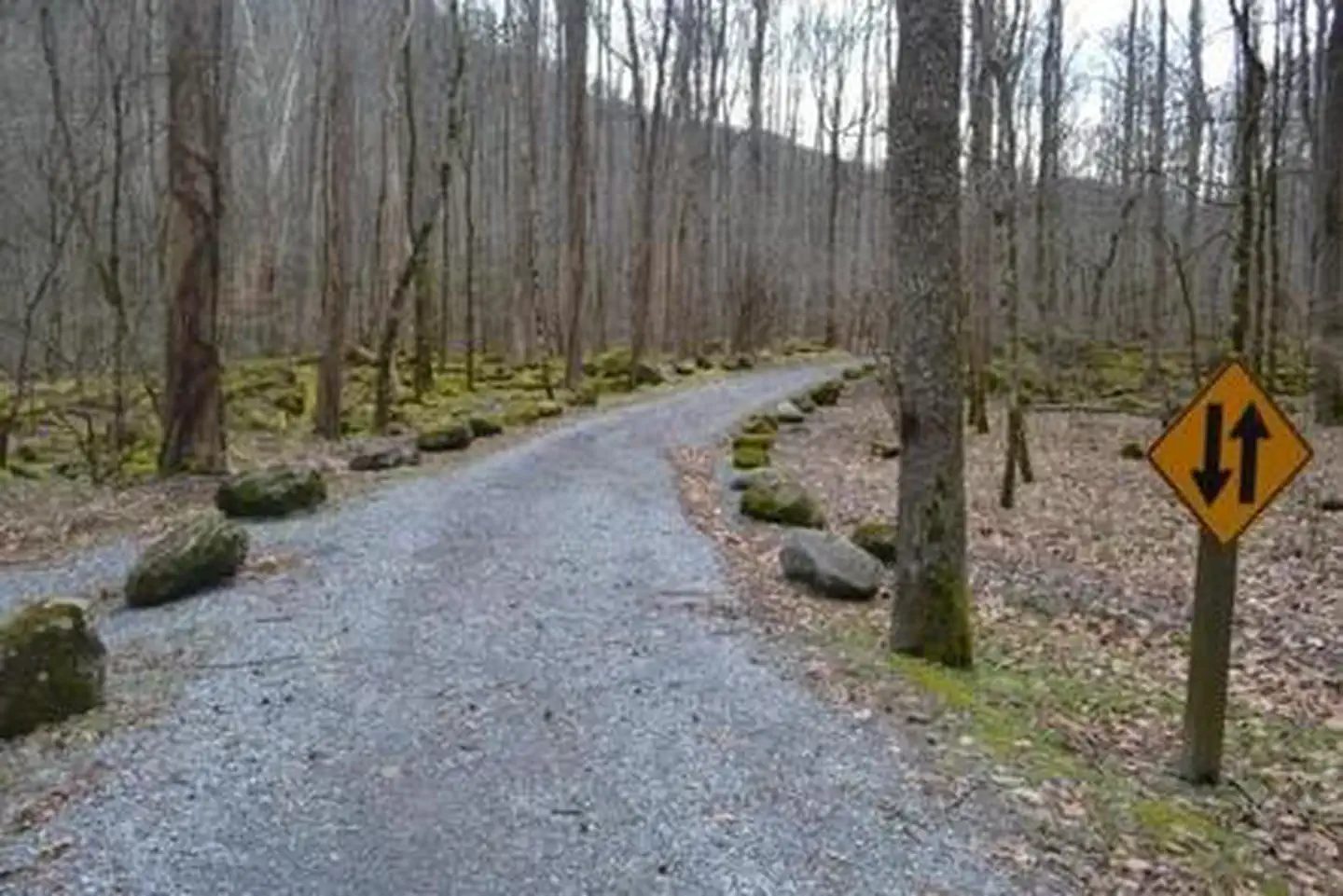 Narrow, unpaved road to reach campground