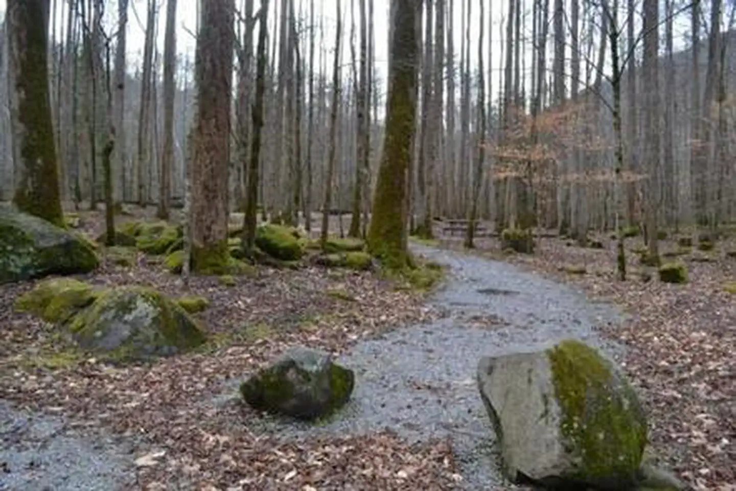 Walkway from parking to campsites