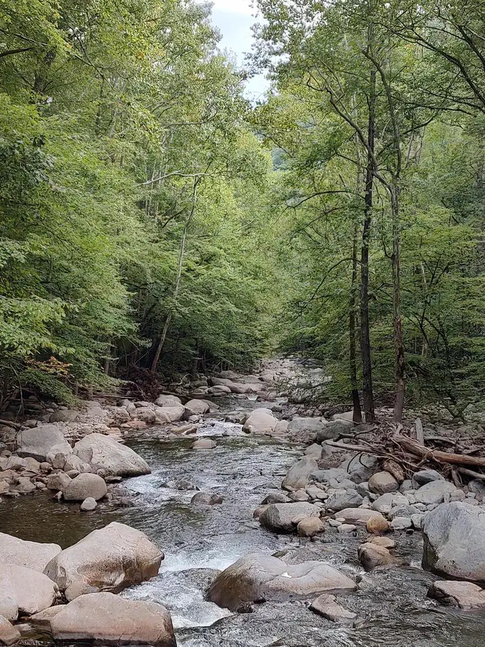 Big Creek