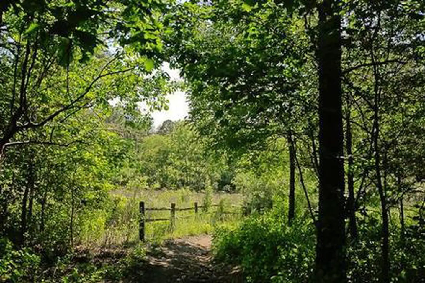 Access to Home Trail directly from your campsite