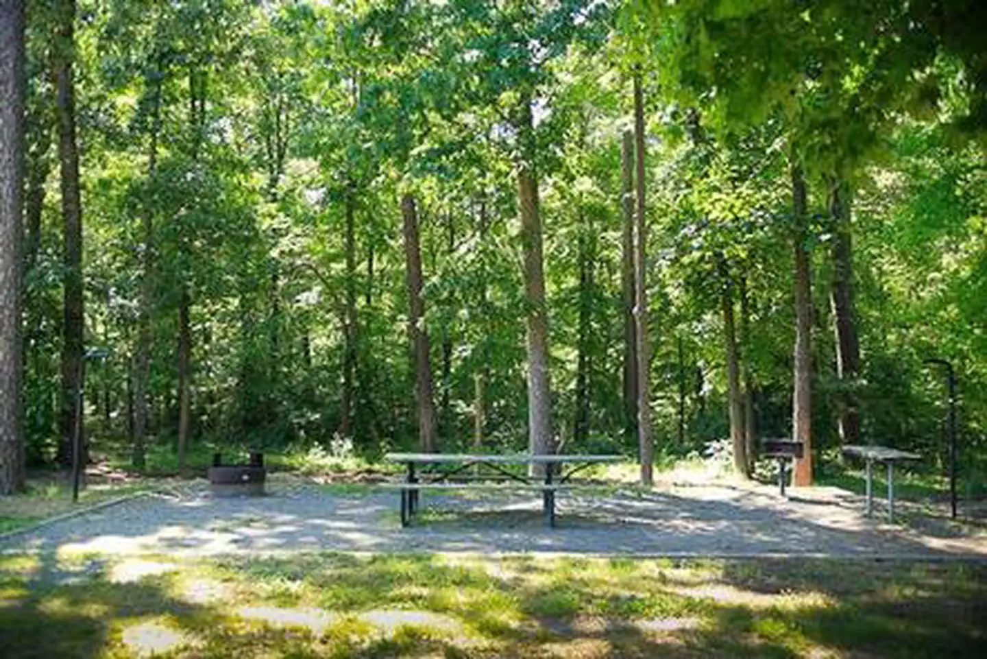 Campsites have electric hookups, picnic tables, tack tables, lantern hooks, grills and fire rings and horse tie out area